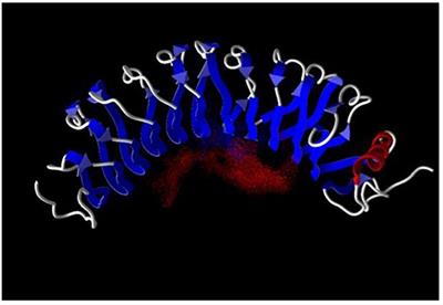 Paradoxical Roles of Leucine-Rich α2-Glycoprotein-1 in Cell Death and Survival Modulated by Transforming Growth Factor-Beta 1 and Cytochrome c